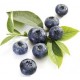 Blueberry (Wild) 10ml The Flavor Apprentice